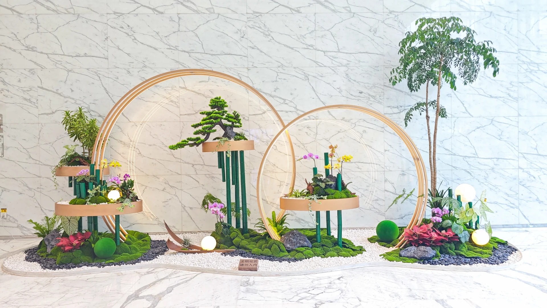 专业团队，提供镇海盆景优质租摆服务